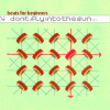 Dont Fly Into The Sun