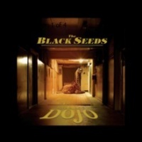 Into The Dojo